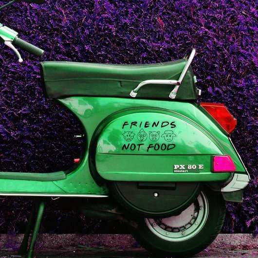 Vrienden, Geen Voedsel, Veganisme Activisme,  Sticker