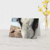 Vrienden Kaart (Gele Bloem)