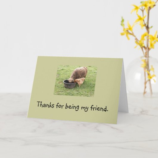 Vrienden Kaart (Gele Bloem)