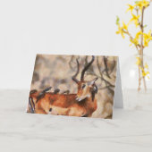 Vrienden Kaart (Gele Bloem)