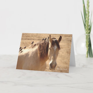 Vrienden ©Linda Scott Kaart