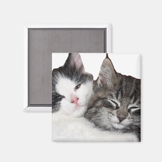 Vrienden Magneet (Voorkant / Achterkant)