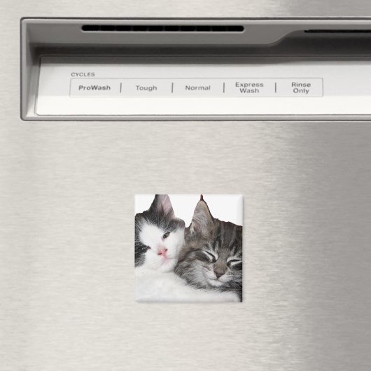 Vrienden Magneet (Insitu (Vaatwasser))