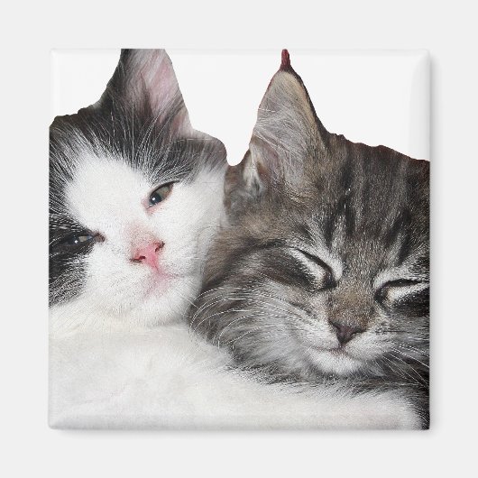 Vrienden Magneet (Voorkant)