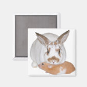 Vrienden Magneet (Voorkant / Achterkant)