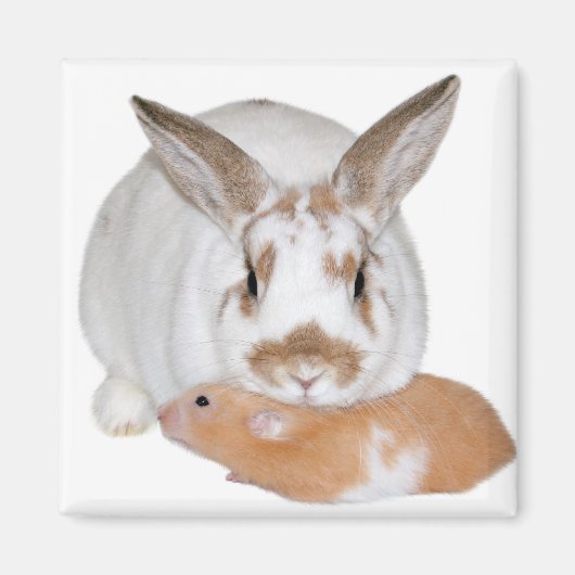 Vrienden Magneet (Voorkant)