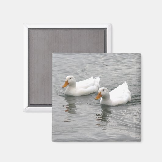 Vrienden Magneet (Voorkant / Achterkant)