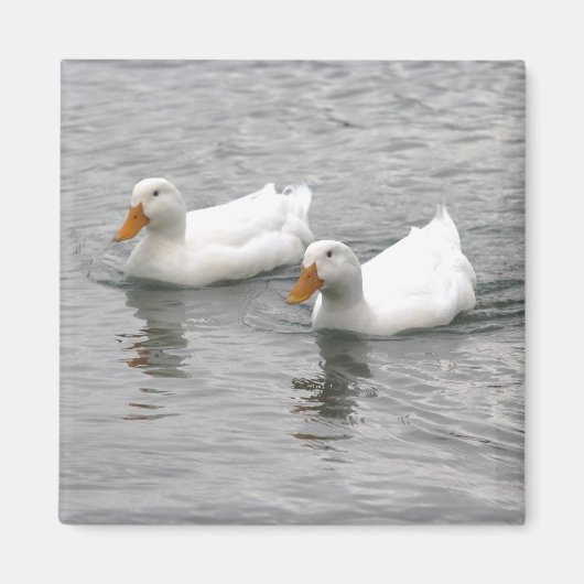 Vrienden Magneet (Voorkant)