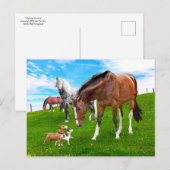 "Vrienden maken"  Briefkaart (Voorkant / Achterkant)