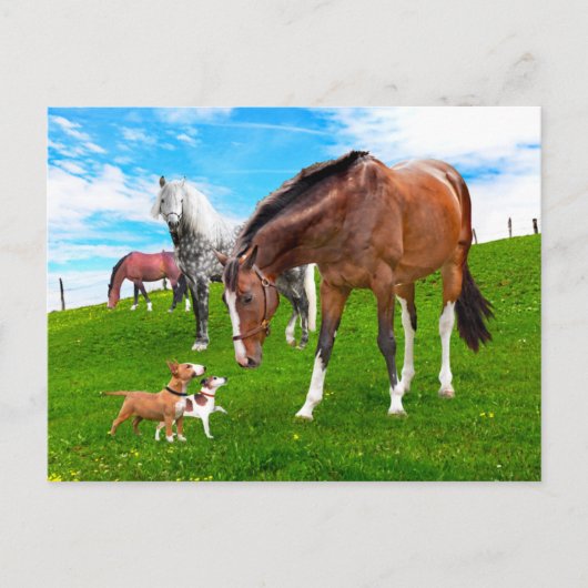 "Vrienden maken"  Briefkaart (Voorkant)