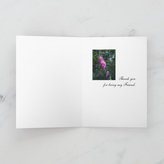 Vrienden: Mening, Geest, en Ziel Kaart (Binnen)