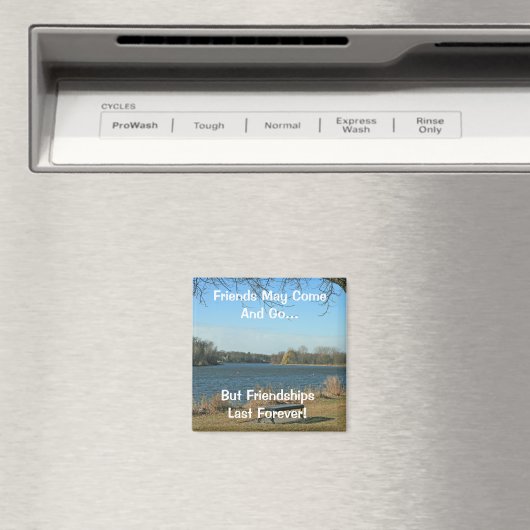 Vrienden mogen komen en gaan magneet (Insitu (Vaatwasser))