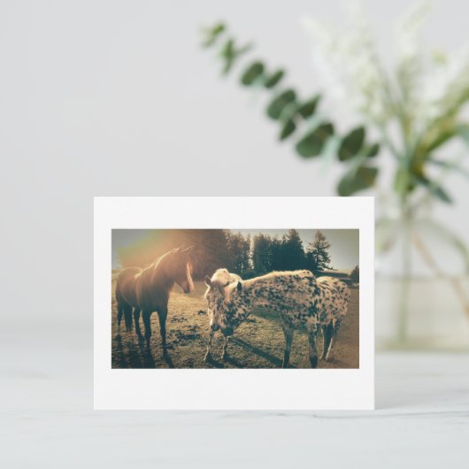 Vrienden op landelijke wegen briefkaart (Staand voorkant)