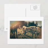 Vrienden op landelijke wegen briefkaart (Voorkant / Achterkant)