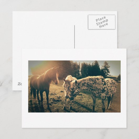 Vrienden op landelijke wegen briefkaart (Voorkant / Achterkant)