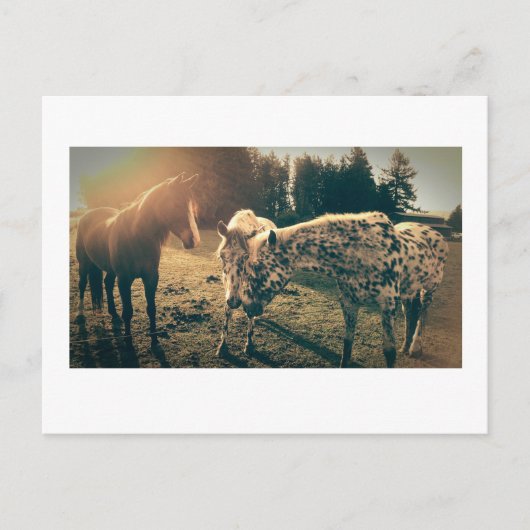 Vrienden op landelijke wegen briefkaart (Voorkant)