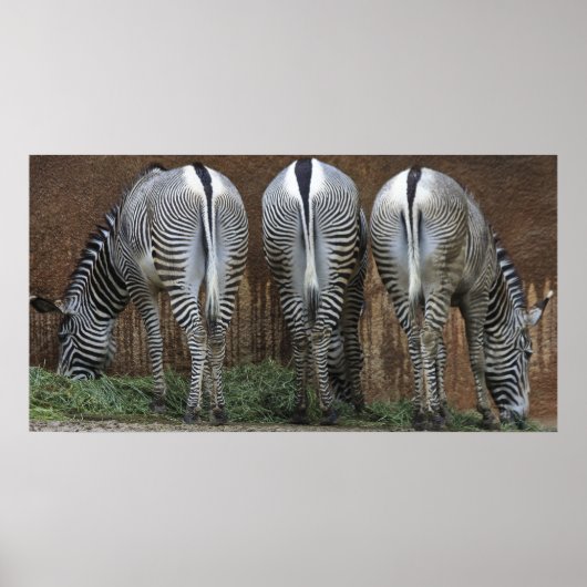 Vrienden Poster (Voorkant)