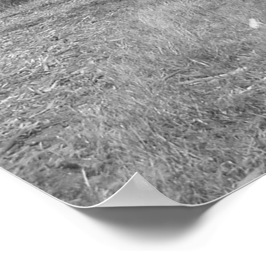 "Vrienden" Poster (Hoek)