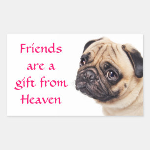 Vrienden Pug Puppies Hond Uitnodigingsstickers Rechthoekige Sticker