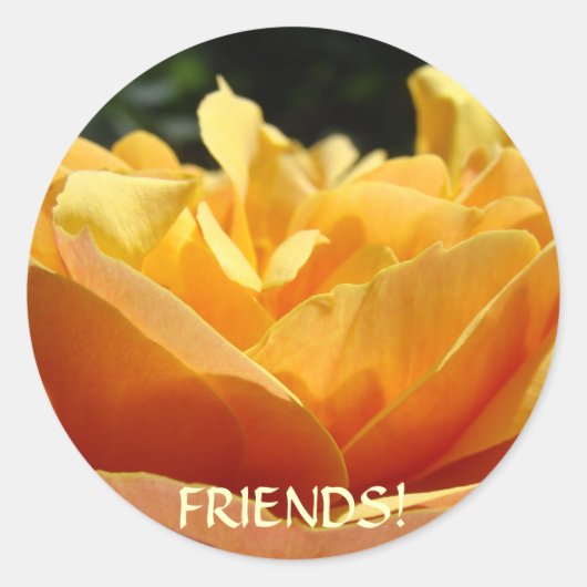 VRIENDEN Rozen Bloemen STICKERS Vriendschaps Cadea (Voorkant)