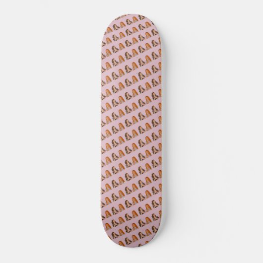 Vrienden Skateboard (Voorkant)