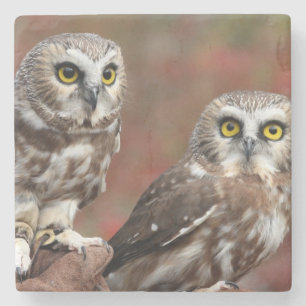 Vrienden Stenen Onderzetter