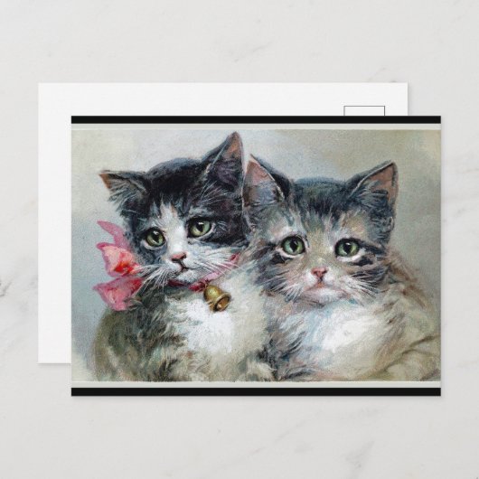 Vrienden, twee schattige kittens. briefkaart (Voorkant / Achterkant)