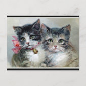 Vrienden, twee schattige kittens. briefkaart (Voorkant)
