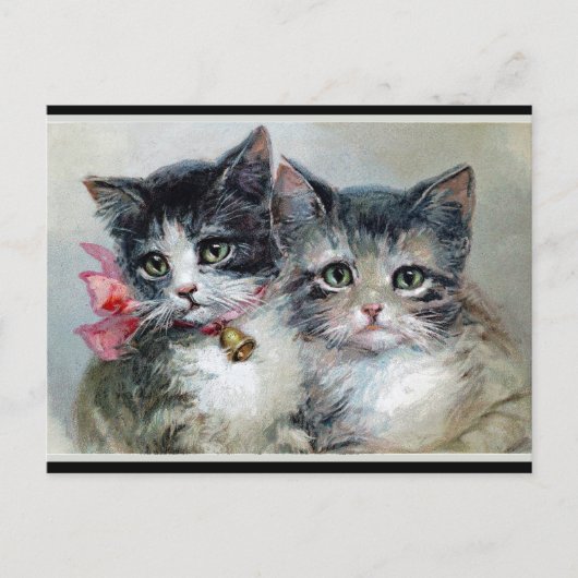Vrienden, twee schattige kittens. briefkaart (Voorkant)