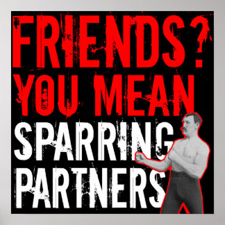 Vrienden? U bedoelt sparring partners MMA Poster