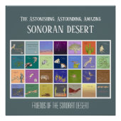 Vrienden van de Sonoran-woestijn Perfect Poster (Voorkant)