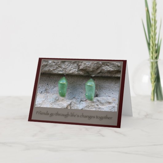 Vrienden Vlindercocons Kaart (Voorkant)