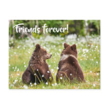 Vrienden voor altijd briefkaart