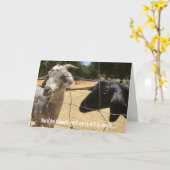 Vrienden voor altijd Dwaas kaartje Kaart (Gele Bloem)