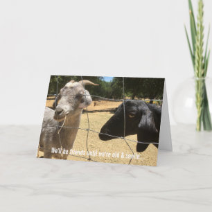 Vrienden voor altijd Dwaas kaartje Kaart