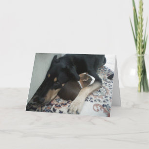 Vrienden voor altijd kaart