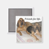Vrienden voor het leven. magneet (Voorkant / Achterkant)