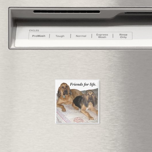 Vrienden voor het leven. magneet (Insitu (Vaatwasser))