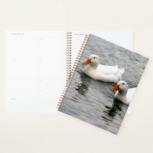 Vrienden voor het Leven Planner (Display)