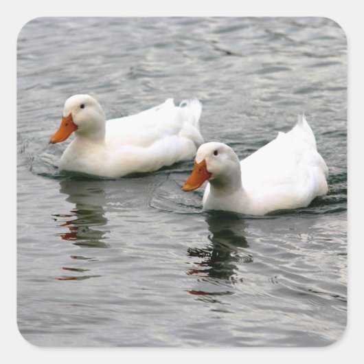 Vrienden voor het Leven Vierkante Sticker (Voorkant)
