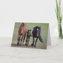 Vrienden - Wenskaart voor vrijheid Kaart