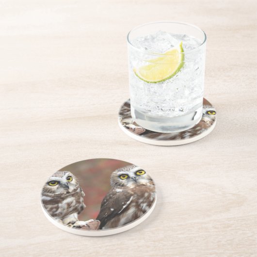 Vrienden Zandsteen Onderzetter (Zijkant)