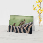 Vrienden: Zebra en Ox Peckers Kaart (Gele Bloem)
