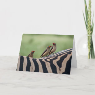 Vrienden: Zebra en Ox Peckers Kaart