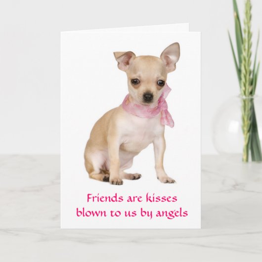 Vrienden zijn Angels Chihuahua Puppy Dog Kaart (Voorkant)
