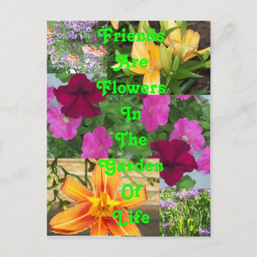 Vrienden zijn bloemen...    postkaartPC78 Briefkaart (Voorkant)