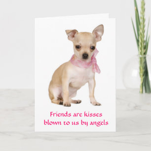 Vrienden Zijn Engelen Chihuahua Puppy Wenskaart Kaart