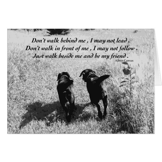 Vrienden - zwart lab (Voorkant Horizontaal)