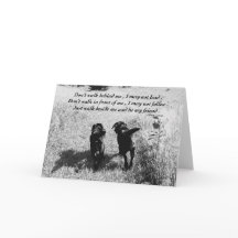 Vrienden - zwart lab