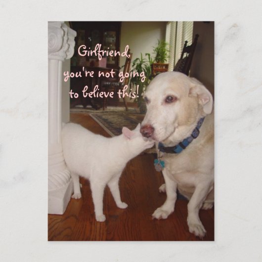 Vriendin, je zult het niet geloven! briefkaart (Voorkant)